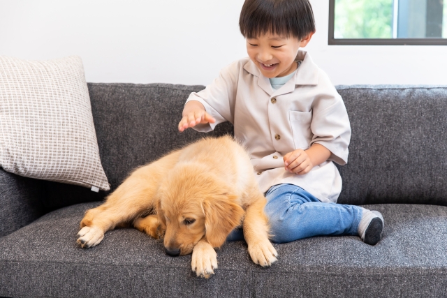 子どもとペットイメージ写真 子どもとペットイメージ写真