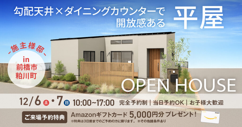 勾配天井×ダイニングカウンターのある平屋