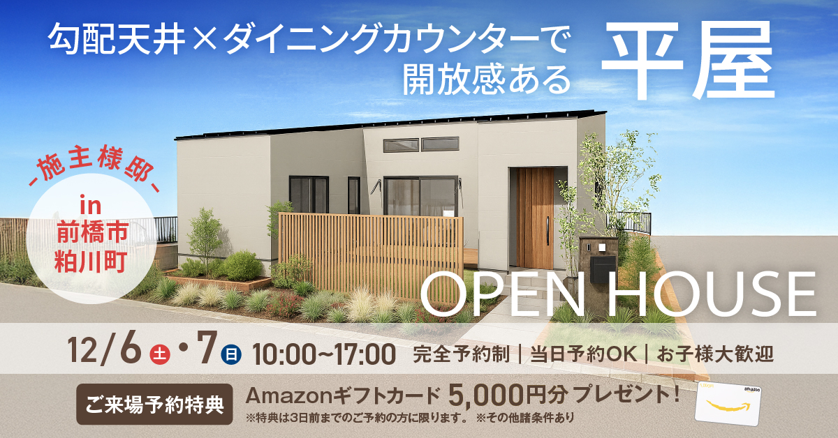 勾配天井×ダイニングカウンターのある平屋